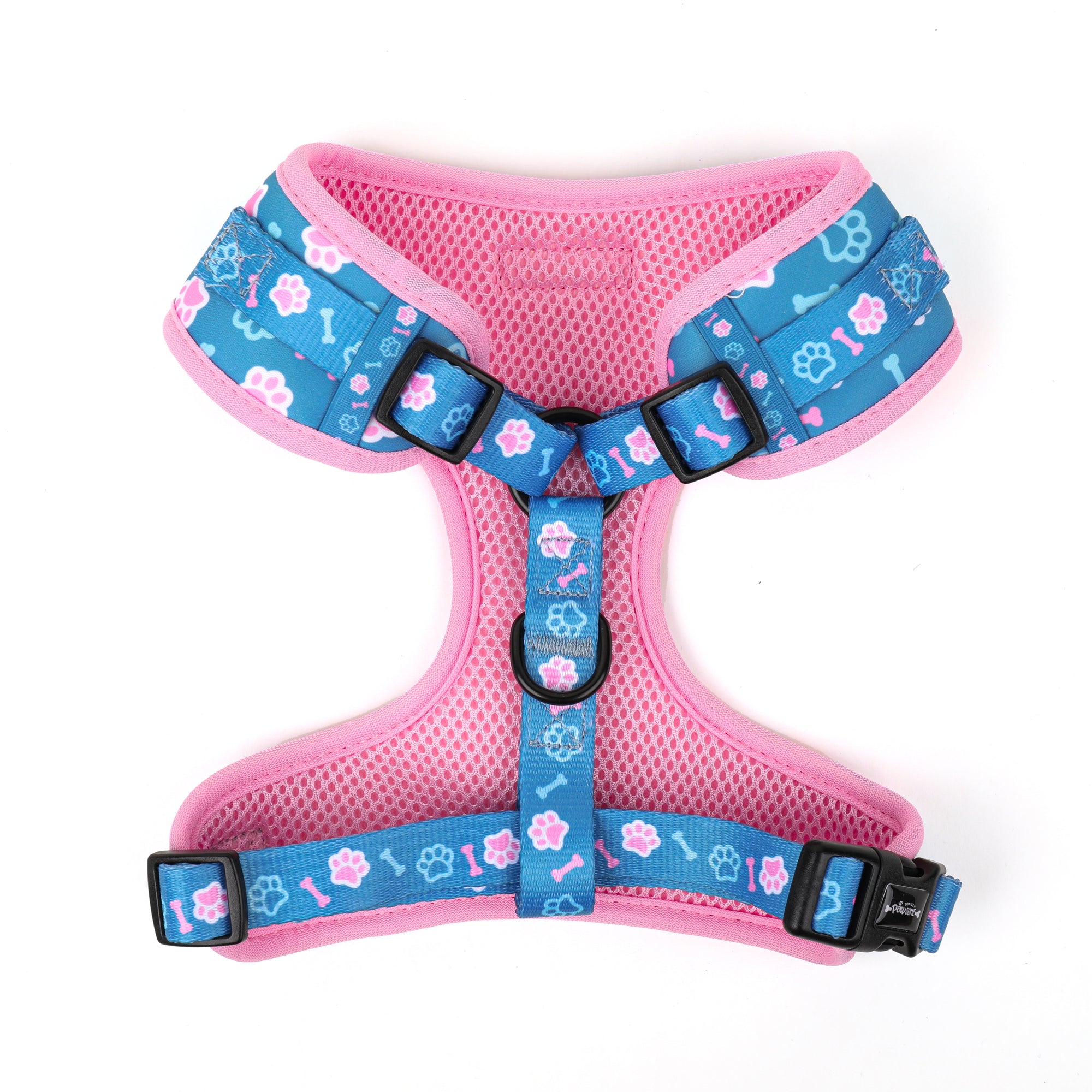 blue and pink dog harness showing adjustable straps on the harness