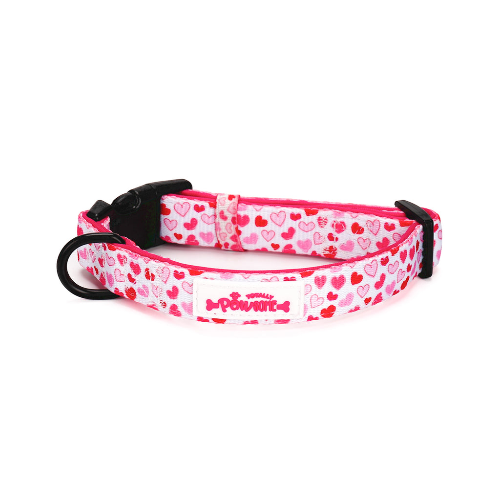 I woof You TP Adventures - 4 Piece Bundle - Dog Harness, Collar, Lead & Poop Bag Holder