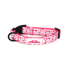 I woof You TP Adventures - 4 Piece Bundle - Dog Harness, Collar, Lead & Poop Bag Holder