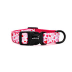 I woof You TP Adventures - 4 Piece Bundle - Dog Harness, Collar, Lead & Poop Bag Holder
