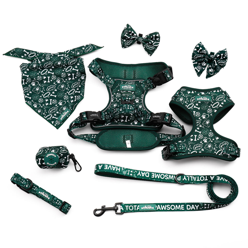 Evergreen Trails - TP Adventures Dog Harness