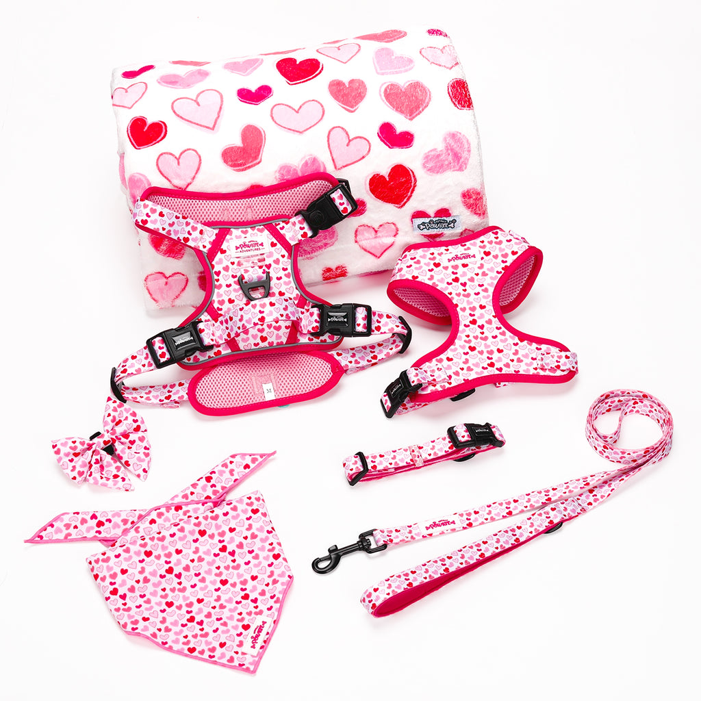 I Woof You - TP Adventures Dog Harness