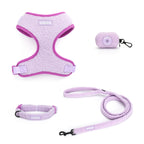 Purple Haze Teddy - TP Adventures - 4 piece Bundle - Dog Harness, Collar, Lead & Poop Bag Holder