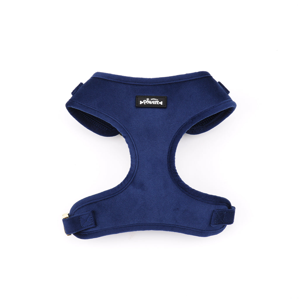 Navy Velvet - 4 Piece Bundle - Dog Harness, Collar, Lead & Poop Bag Holder