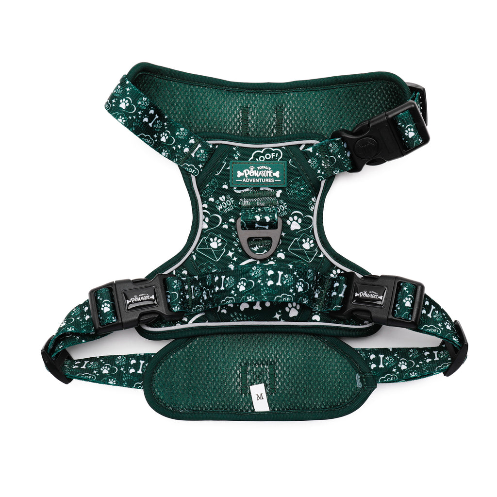 Evergreen Trails - TP Adventures Dog Harness
