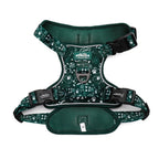 Evergreen Trails - TP Adventures Dog Harness