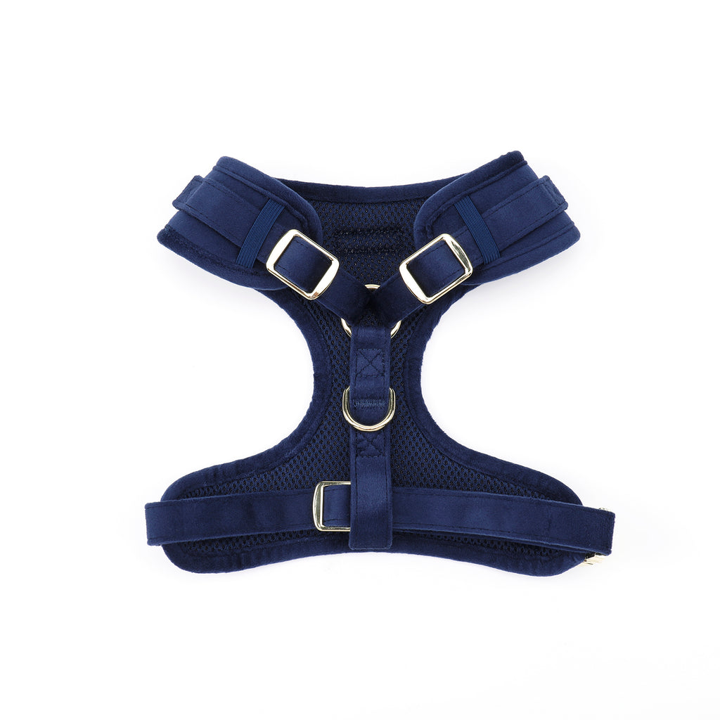 Navy Velvet Dog Harness