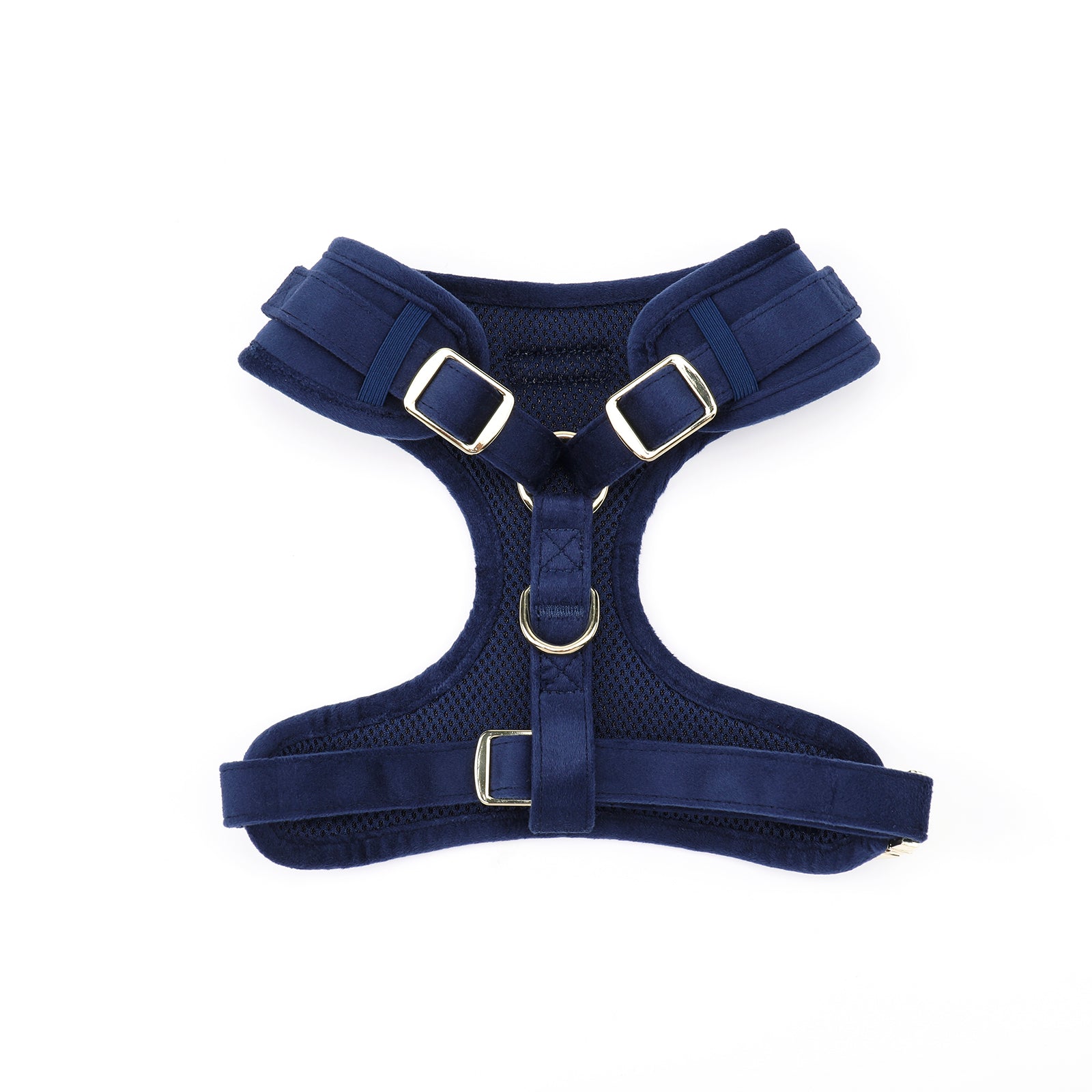 Navy Velvet Dog Harness