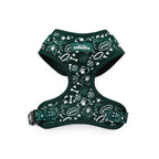 Evergreen Trails - TP Adventures Dog Harness