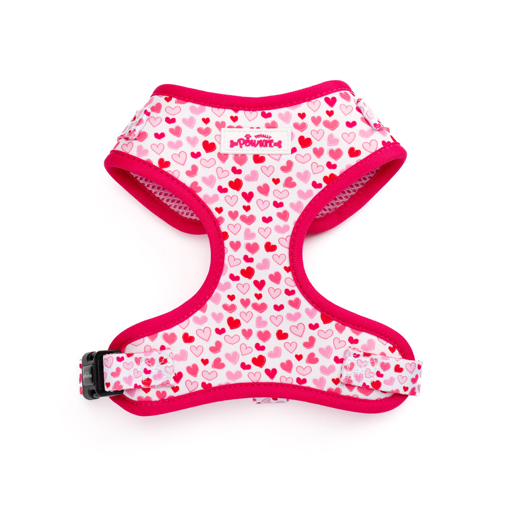 I Woof You - TP Adventures Dog Harness
