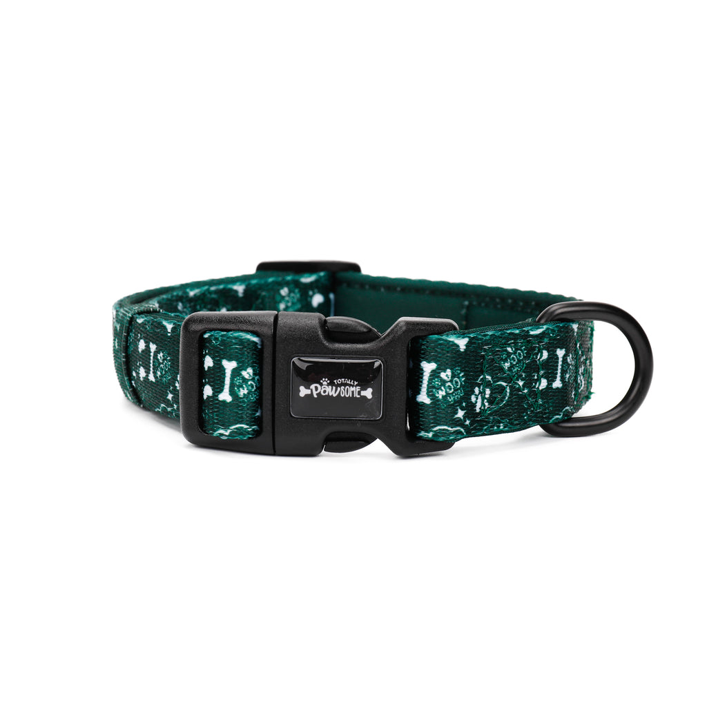 Evergreen Trails - TP Adventures Dog Collar