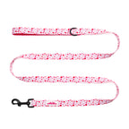 I woof You TP Adventures - 4 Piece Bundle - Dog Harness, Collar, Lead & Poop Bag Holder