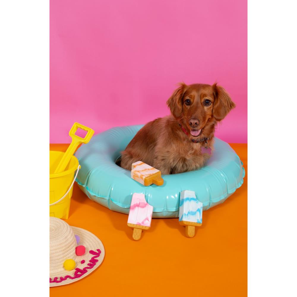 Lolly Cooling Dog Toys