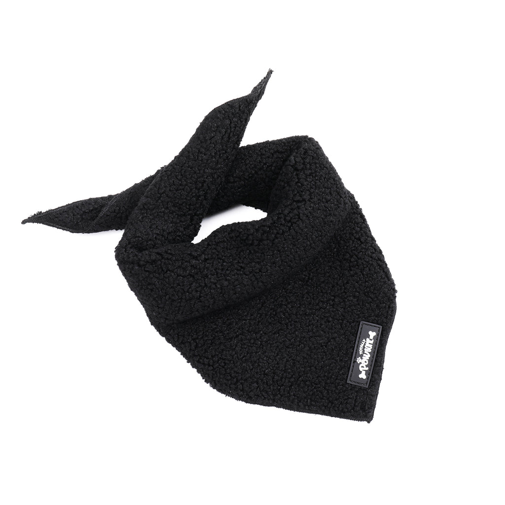 Black Magic Teddy - TP Adventures Dog Bandana