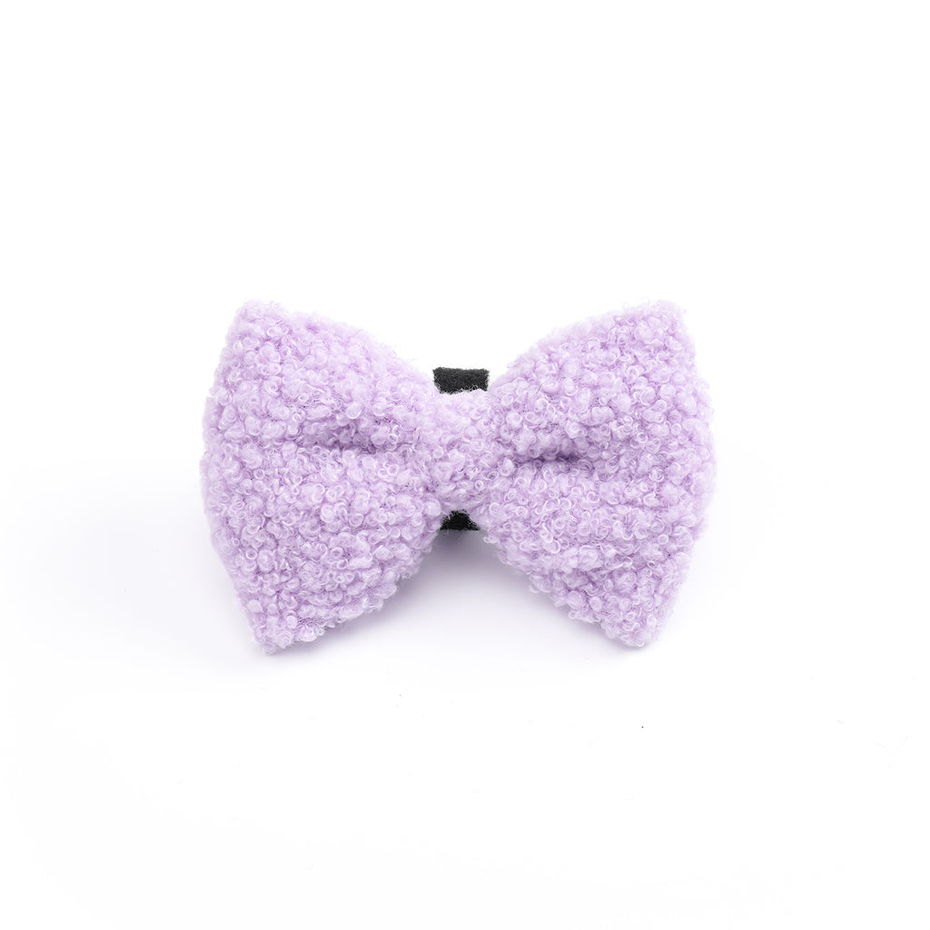 Purple Haze Teddy - TP Adventures Dog Bow Tie