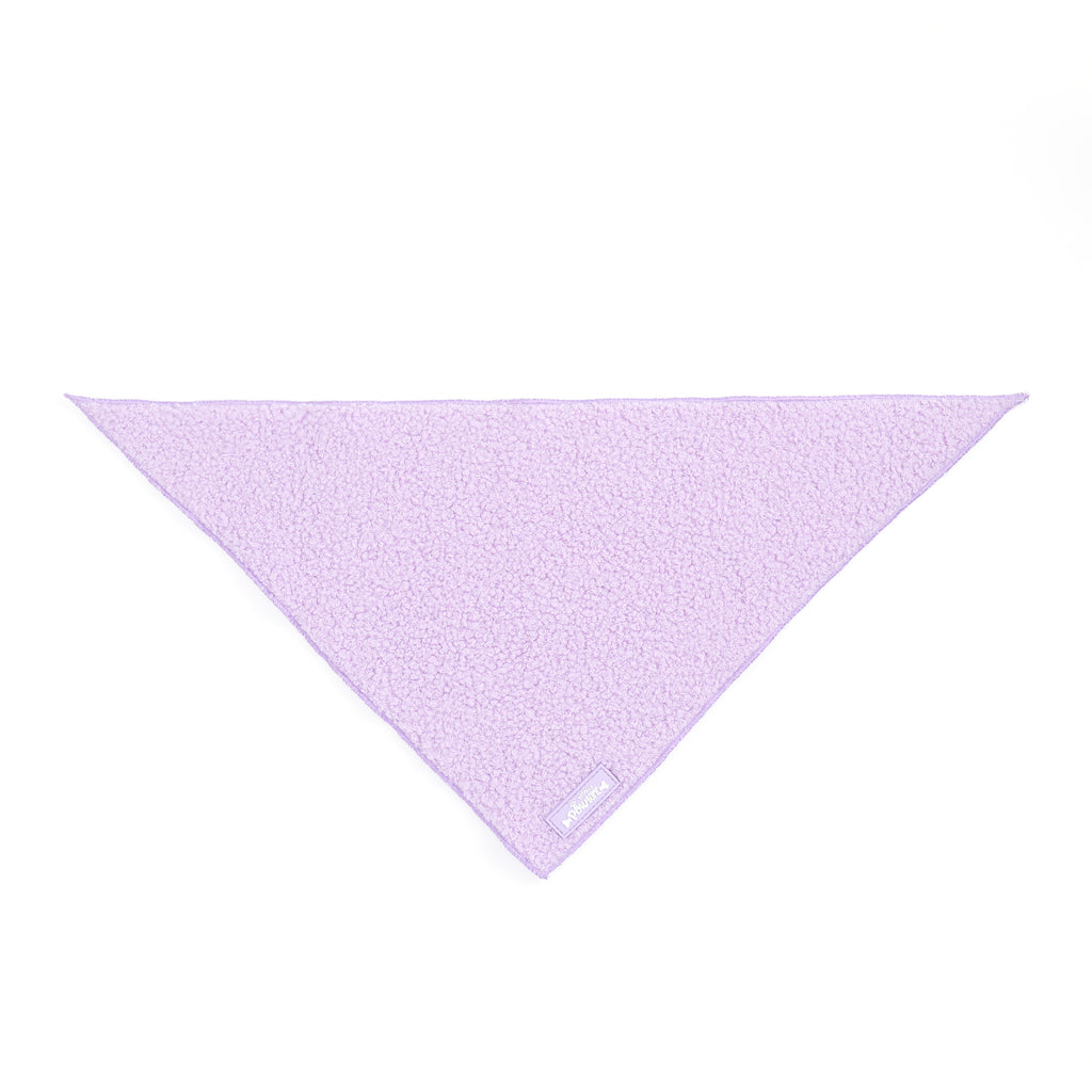 Purple Haze Teddy - TP Adventures Dog Bandana