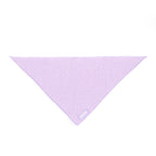 Purple Haze Teddy - TP Adventures Dog Bandana