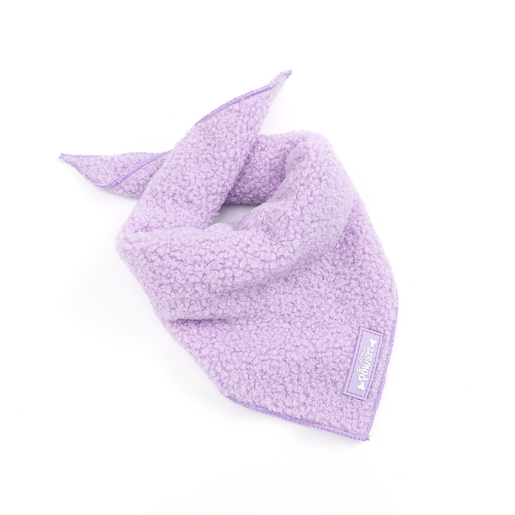 Purple Haze Teddy - TP Adventures Dog Bandana