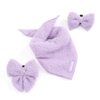 Purple Haze Teddy - TP Adventures Dog Bow Tie