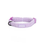Purple Haze Teddy - TP Adventures Dog Collar
