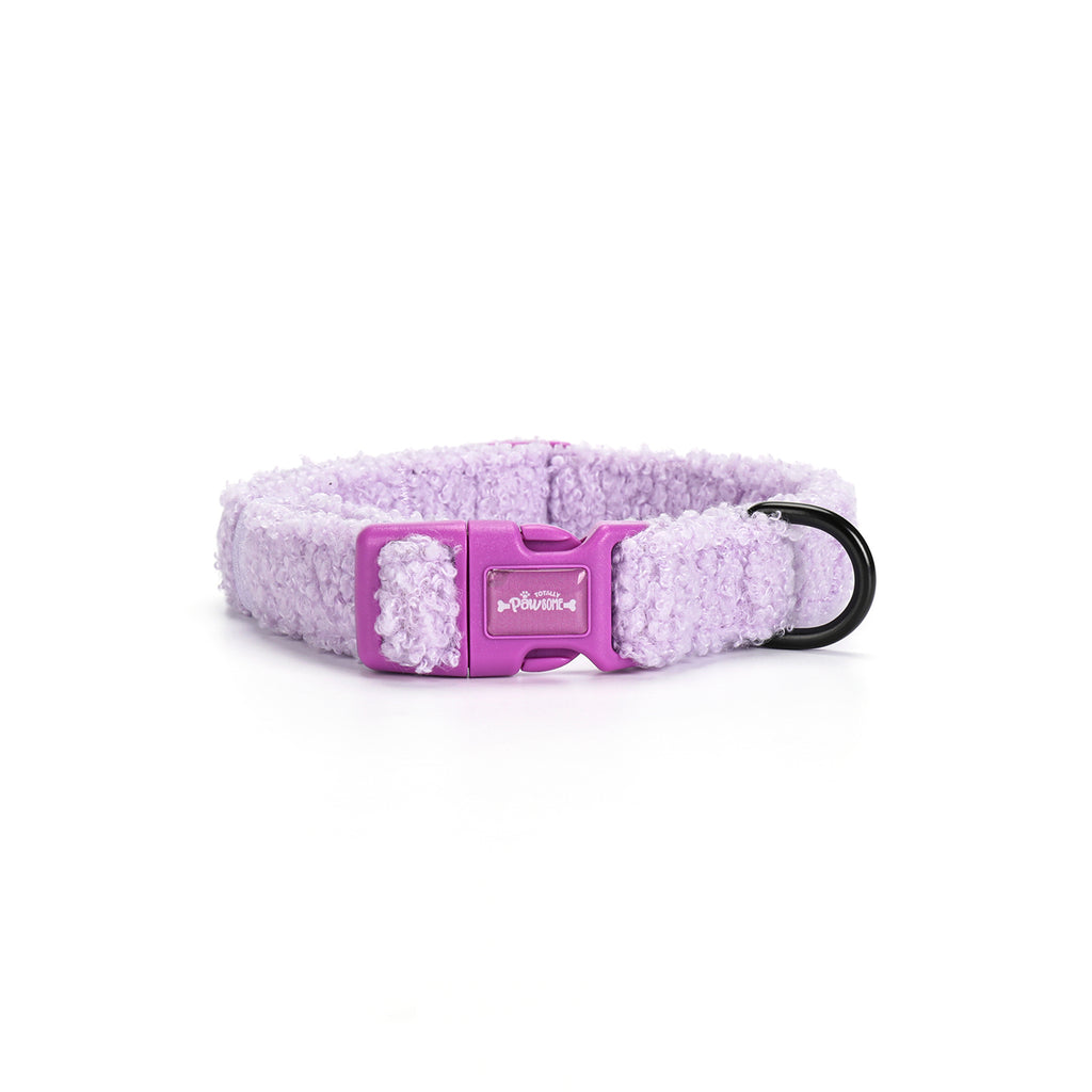 Purple Haze Teddy - TP Adventures Dog Collar
