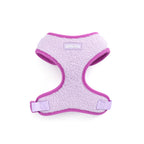 Purple Haze Teddy - TP Adventures Dog Harness