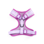 Purple Haze Teddy - TP Adventures - 4 piece Bundle - Dog Harness, Collar, Lead & Poop Bag Holder