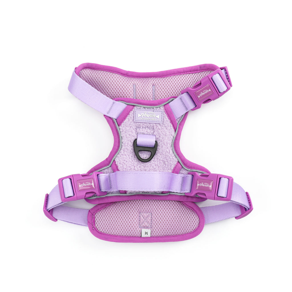 Purple Haze Teddy - TP Adventures Dog Harness