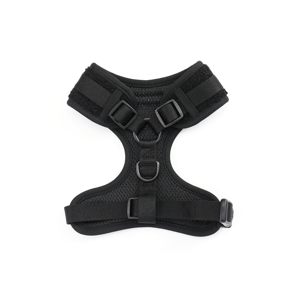 Black Magic Teddy - TP Adventures - 4 piece Bundle - Dog Harness, Collar, Lead & Poop Bag Holder