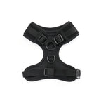 Black Magic Teddy - TP Adventures Dog Harness
