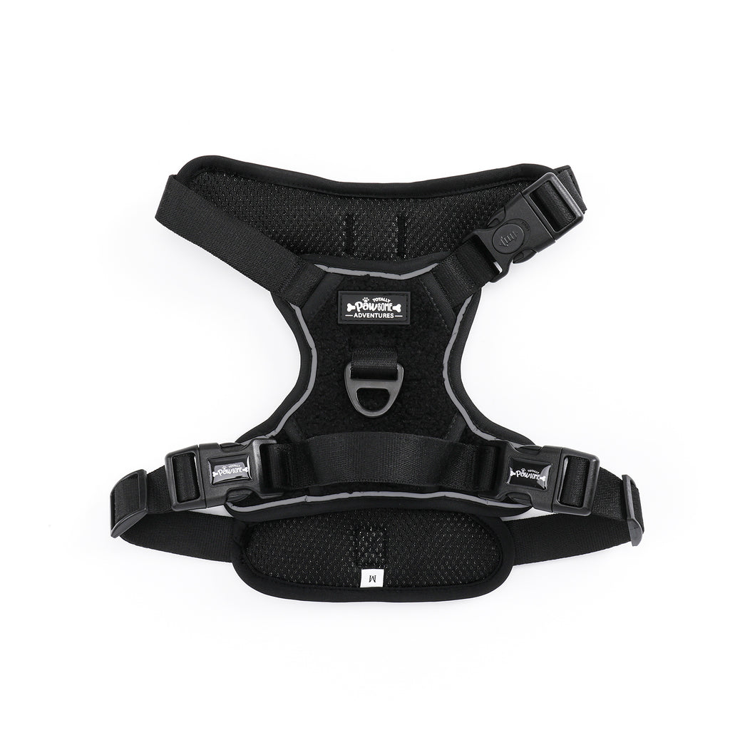 Black Magic Teddy - TP Adventures - 4 piece Bundle - Dog Harness, Collar, Lead & Poop Bag Holder