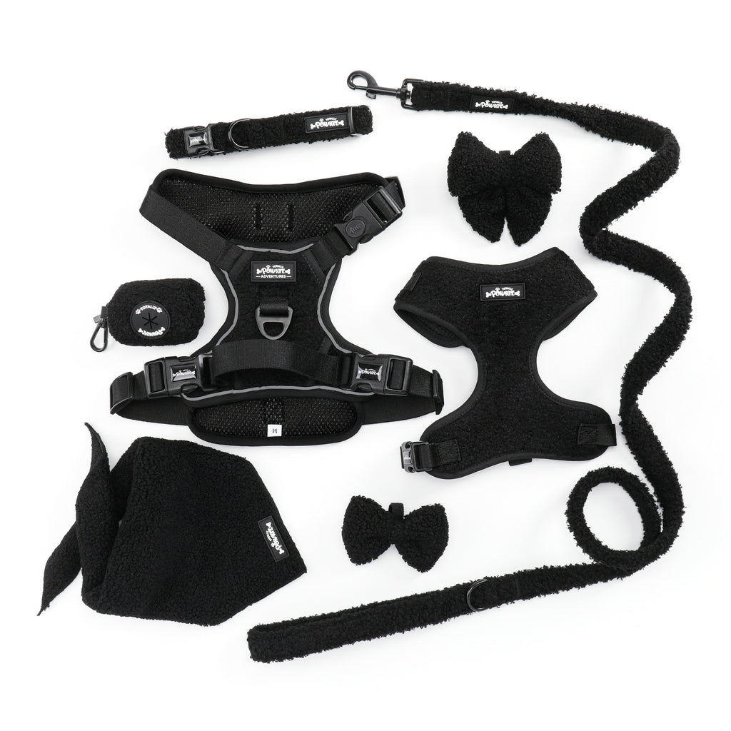 Black Magic Teddy - TP Adventures - 4 piece Bundle - Dog Harness, Collar, Lead & Poop Bag Holder