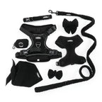 Black Magic Teddy - TP Adventures - 4 piece Bundle - Dog Harness, Collar, Lead & Poop Bag Holder