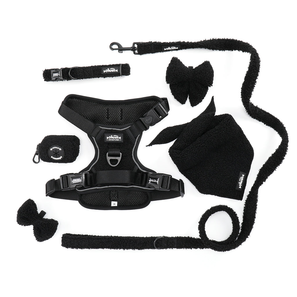 Black Magic Teddy - TP Adventures - 4 piece Bundle - Dog Harness, Collar, Lead & Poop Bag Holder