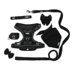 Black Magic Teddy - TP Adventures - 4 piece Bundle - Dog Harness, Collar, Lead & Poop Bag Holder