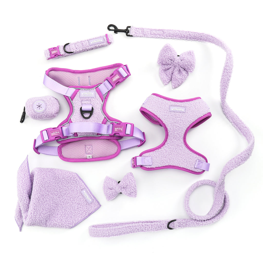 Purple Haze Teddy - TP Adventures - 4 piece Bundle - Dog Harness, Collar, Lead & Poop Bag Holder