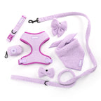Purple Haze Teddy - TP Adventures - 4 piece Bundle - Dog Harness, Collar, Lead & Poop Bag Holder
