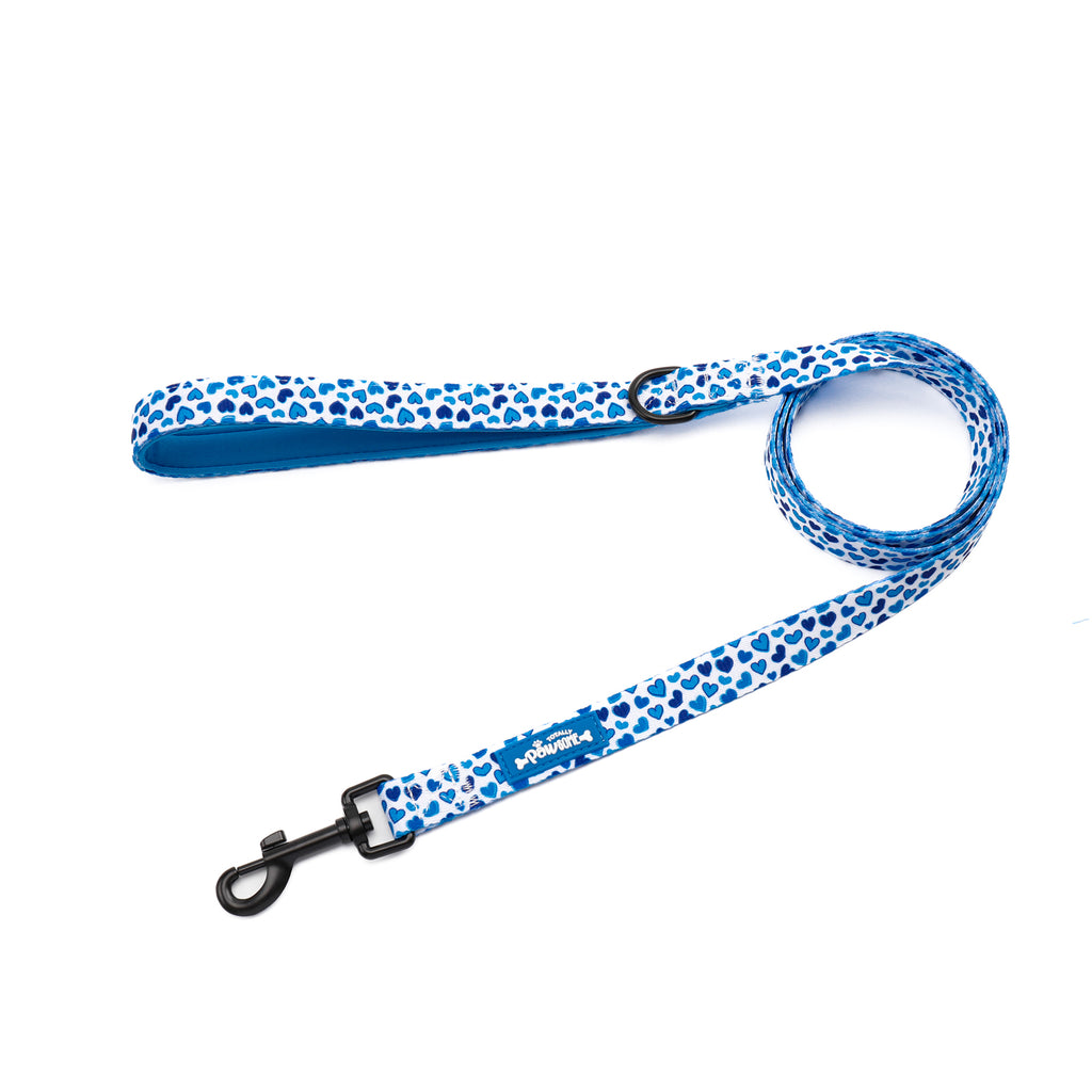 Blue-tiful Love Dog Lead
