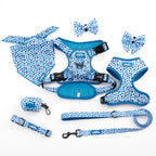 Blue-tiful Love - TP Adventures Dog Harness