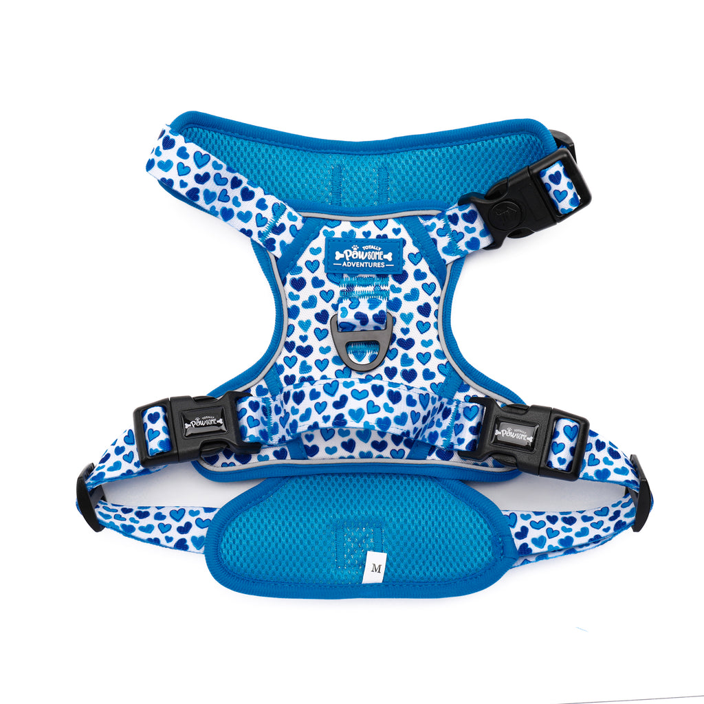 Blue-tiful Love - TP Adventures Dog Harness