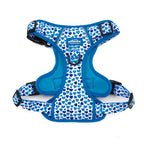 Blue-tiful Love - TP Adventures Dog Harness