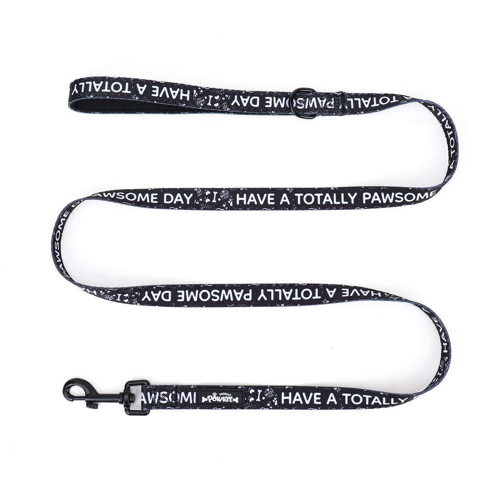 Midnight Paws - TP Adventures Dog Lead