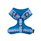Blue-tiful Love - TP Adventures Dog Harness