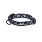 Midnight Paws - TP Adventures Dog Collar