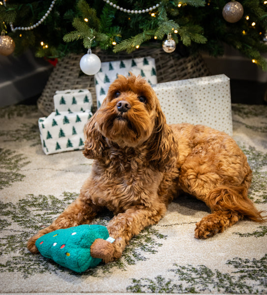 Rosewood Christmas Tufflove Christmas Tree Dog Toy