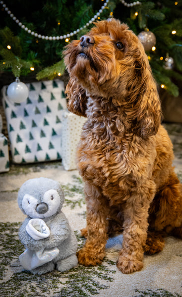 Rosewood Christmas Prancer Penguin Dog Toy