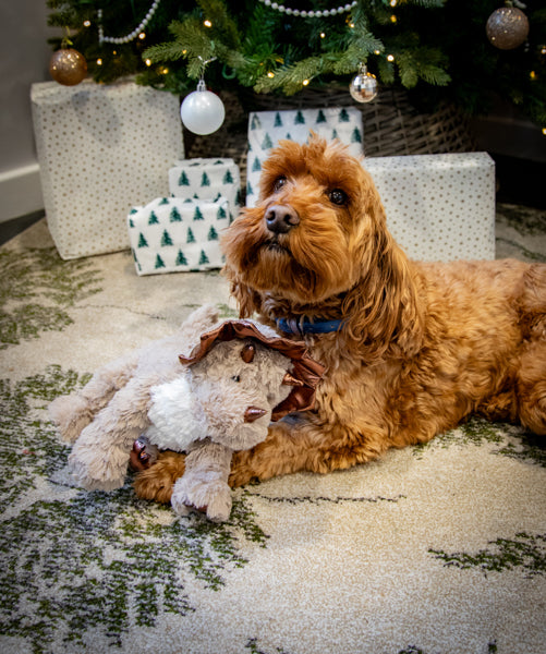 Rosewood Christmas Dasher Dino Dog Toy