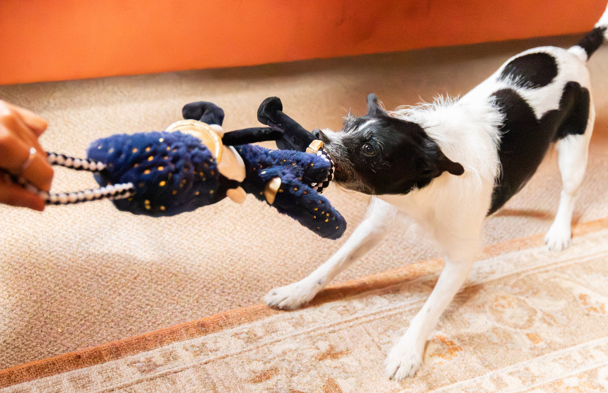 Rosewood Christmas Nermal Nutcracker Dog Toy