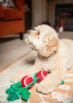 Rosewood Christmas Holly Jolly Rope Dog Toy