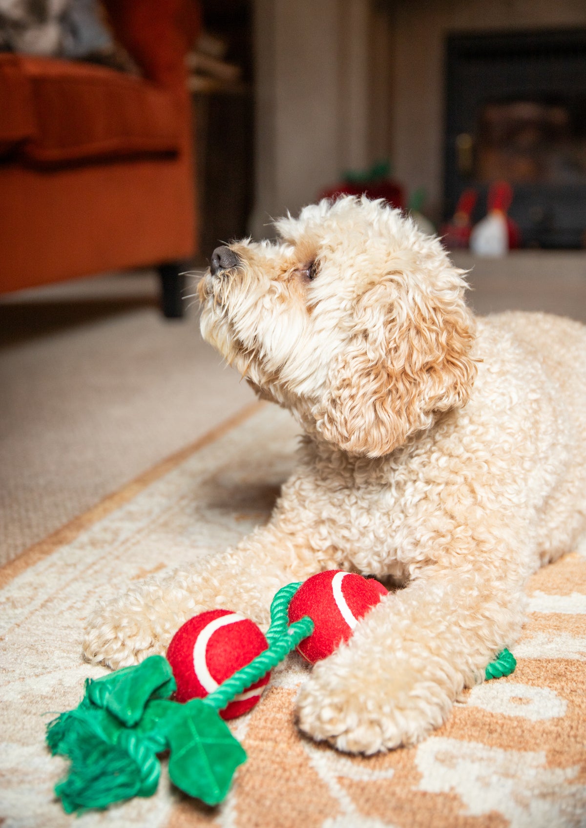 Rosewood Christmas Holly Jolly Rope Dog Toy